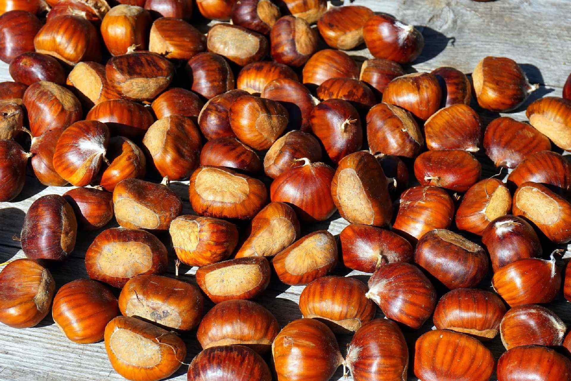 Top 10 Best Ways To Store Chestnuts The Proper Way (2024)