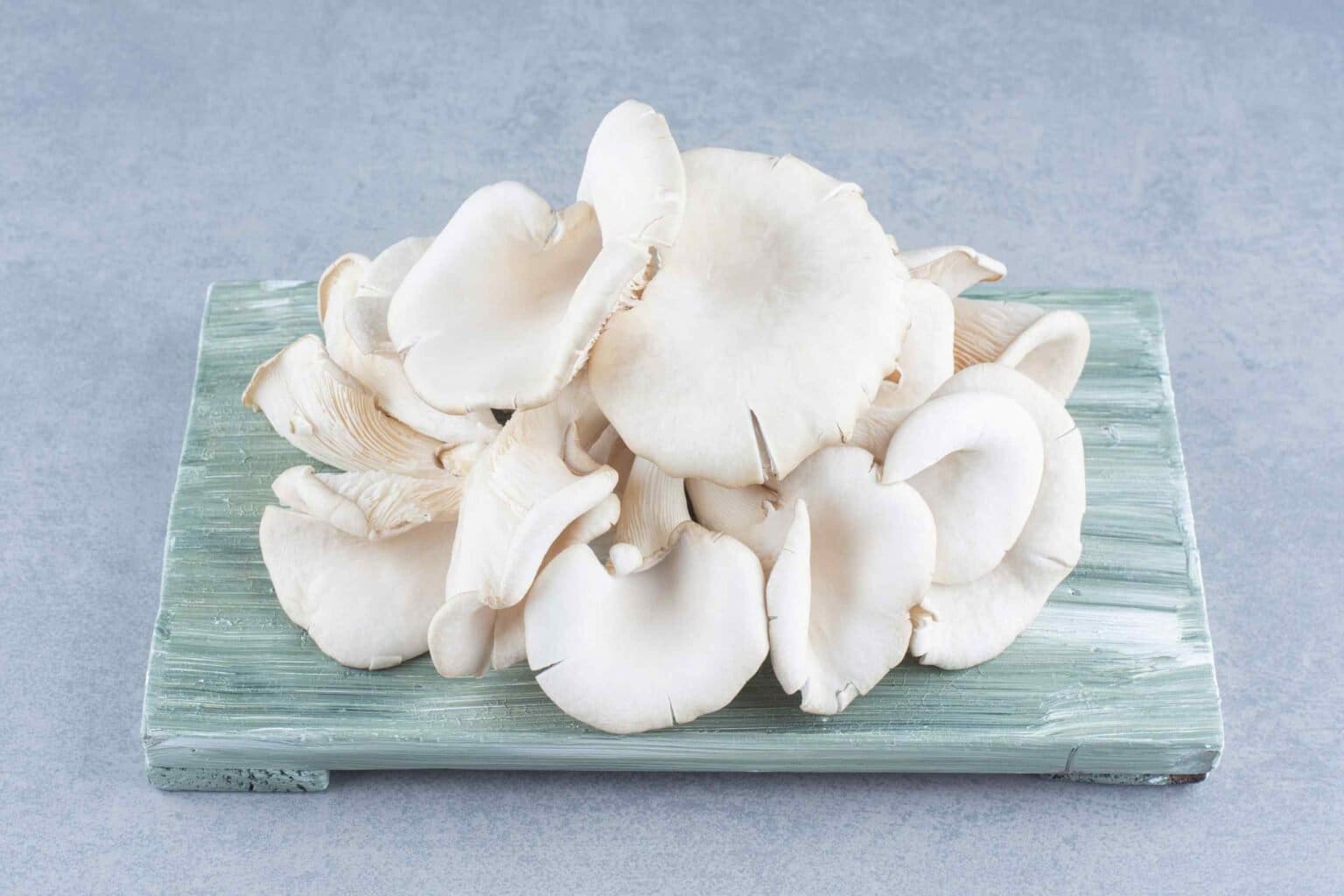 How to Preserve & Store Oyster Mushrooms? 5 Best Ways