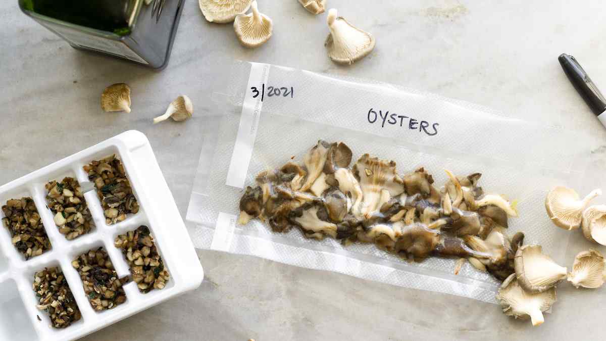 How to Preserve & Store Oyster Mushrooms? 5 Best Ways