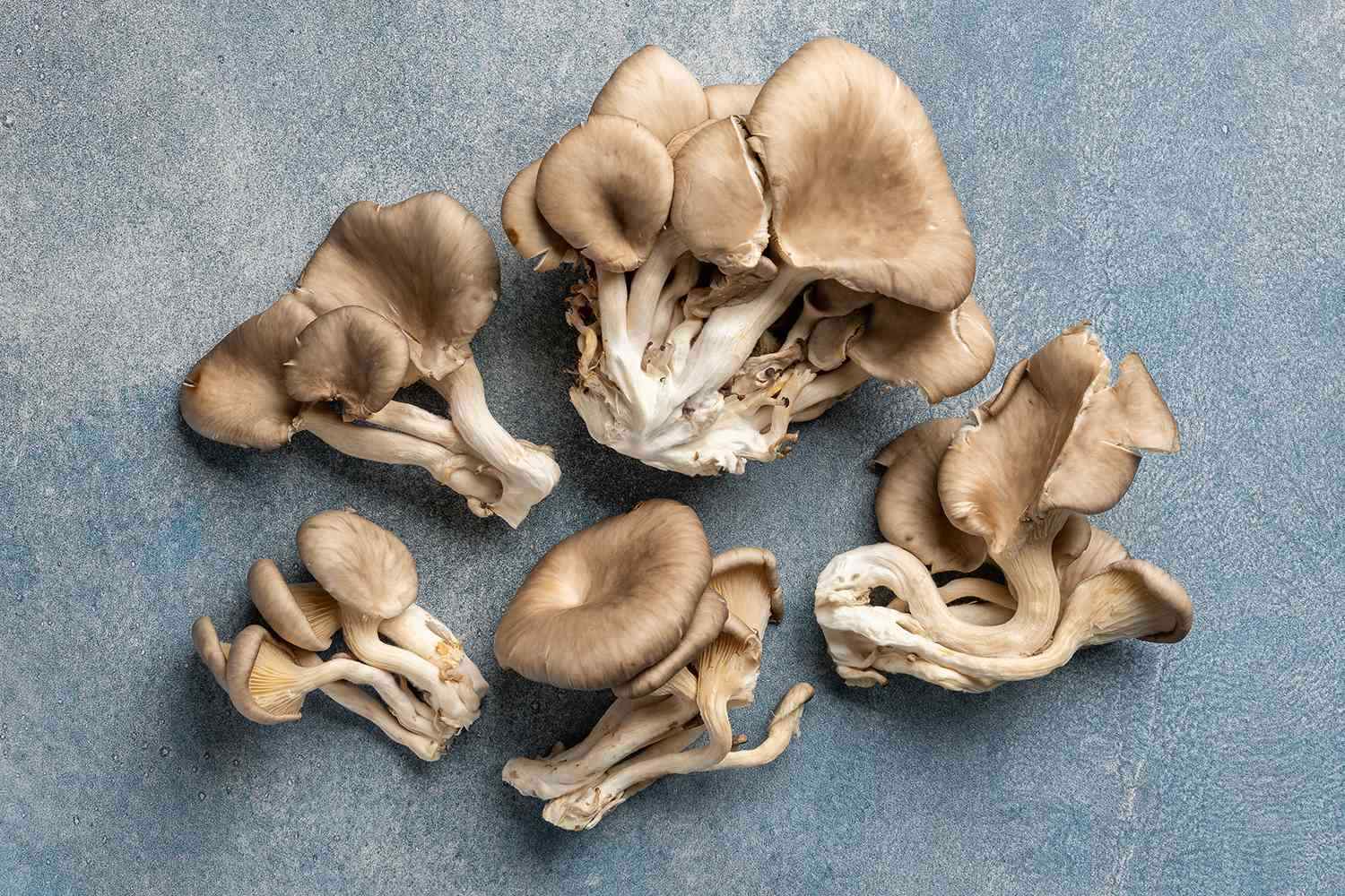 How to Preserve & Store Oyster Mushrooms? 5 Best Ways
